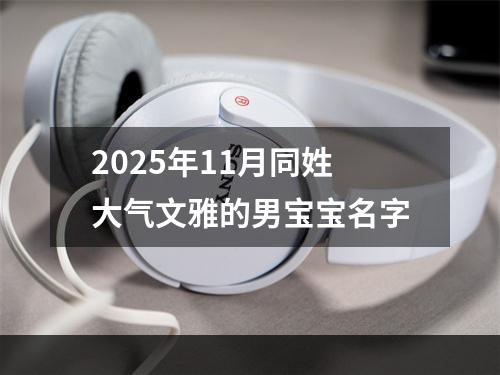 2025年11月同姓大气文雅的男宝宝名字