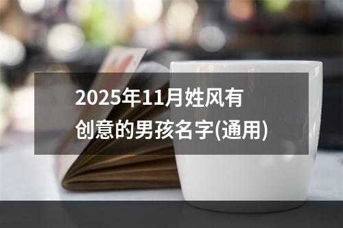2025年11月姓风有创意的男孩名字(通用)