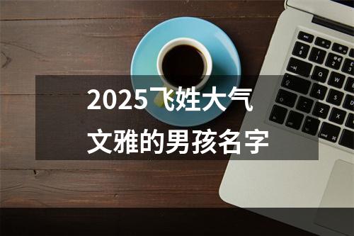 2025飞姓大气文雅的男孩名字