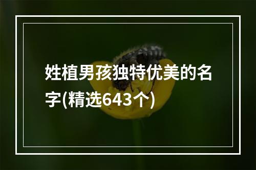 姓植男孩独特优美的名字(精选643个)