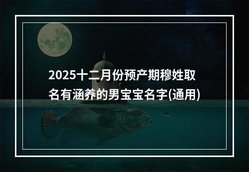 2025十二月份预产期穆姓取名有涵养的男宝宝名字(通用)