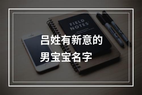 吕姓有新意的男宝宝名字