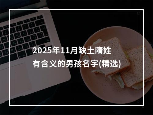2025年11月缺土隋姓有含义的男孩名字(精选)