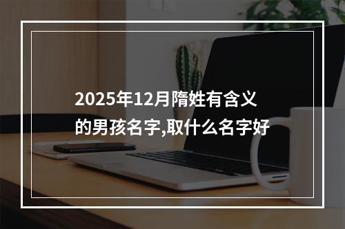 2025年12月隋姓有含义的男孩名字,取什么名字好