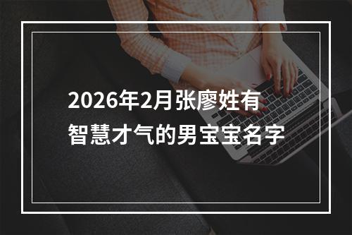 2026年2月张廖姓有智慧才气的男宝宝名字