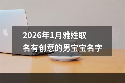 2026年1月雅姓取名有创意的男宝宝名字