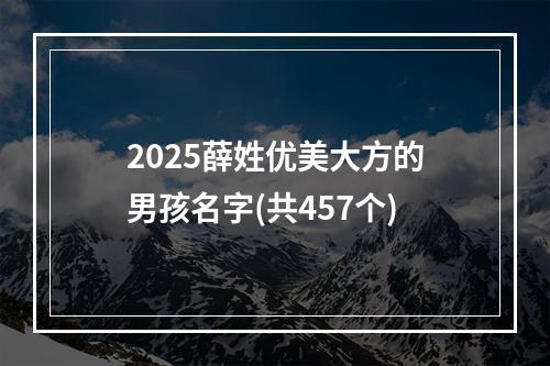 2025薛姓优美大方的男孩名字(共457个)