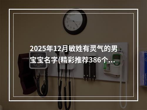 2025年12月敏姓有灵气的男宝宝名字(精彩推荐386个)