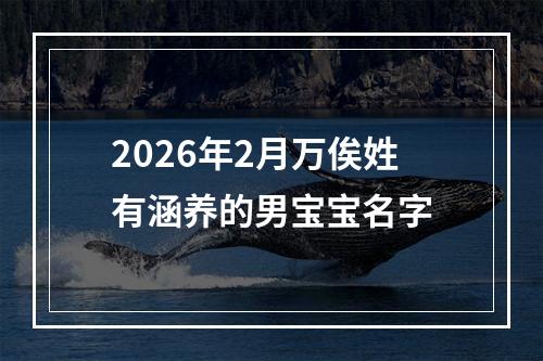 2026年2月万俟姓有涵养的男宝宝名字