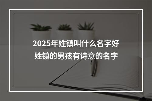 2025年姓镇叫什么名字好 姓镇的男孩有诗意的名字