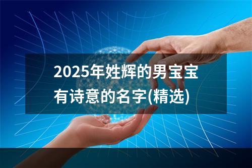 2025年姓辉的男宝宝有诗意的名字(精选)