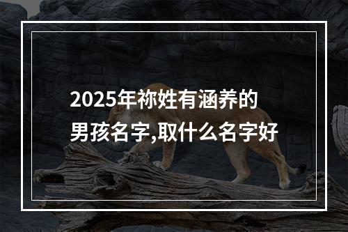 2025年祢姓有涵养的男孩名字,取什么名字好