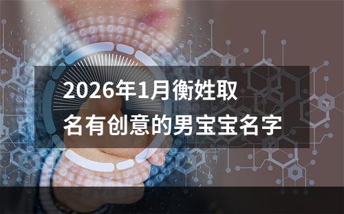 2026年1月衡姓取名有创意的男宝宝名字