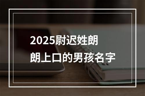 2025尉迟姓朗朗上口的男孩名字