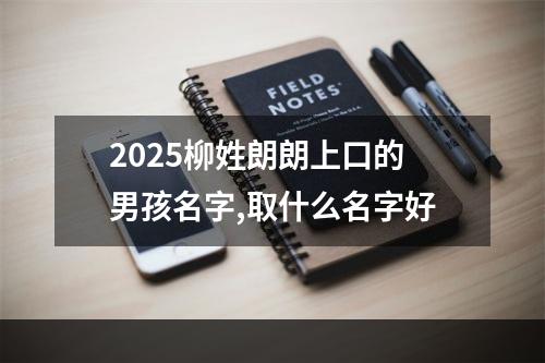2025柳姓朗朗上口的男孩名字,取什么名字好