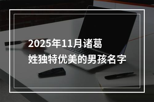 2025年11月诸葛姓独特优美的男孩名字