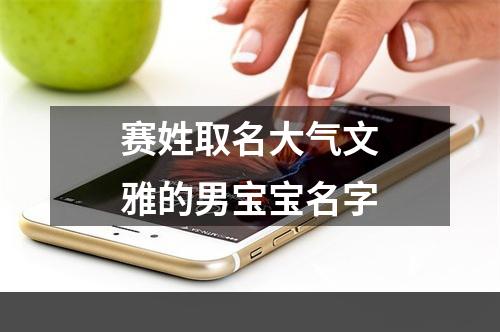 赛姓取名大气文雅的男宝宝名字
