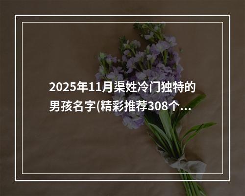 2025年11月渠姓冷门独特的男孩名字(精彩推荐308个)