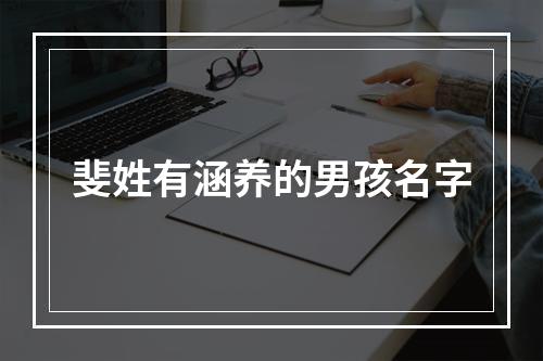 斐姓有涵养的男孩名字