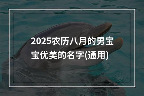2025农历八月的男宝宝优美的名字(通用)