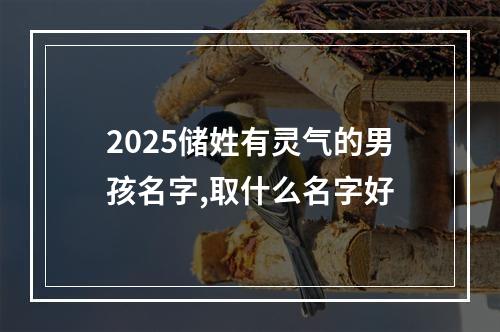 2025储姓有灵气的男孩名字,取什么名字好
