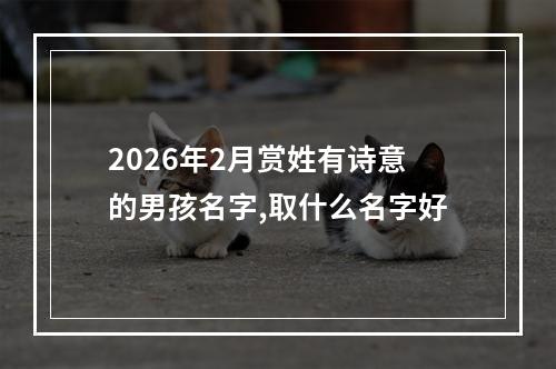 2026年2月赏姓有诗意的男孩名字,取什么名字好