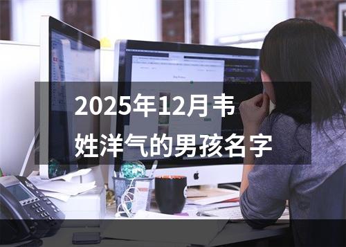 2025年12月韦姓洋气的男孩名字