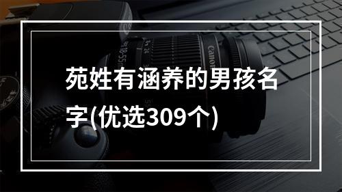 苑姓有涵养的男孩名字(优选309个)