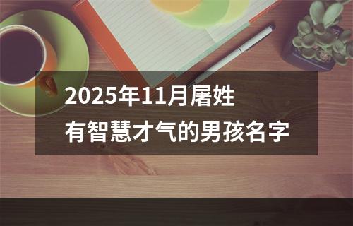 2025年11月屠姓有智慧才气的男孩名字