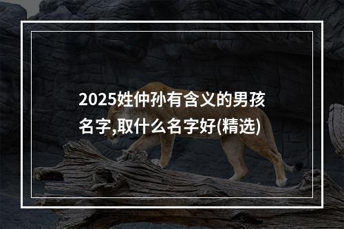2025姓仲孙有含义的男孩名字,取什么名字好(精选)