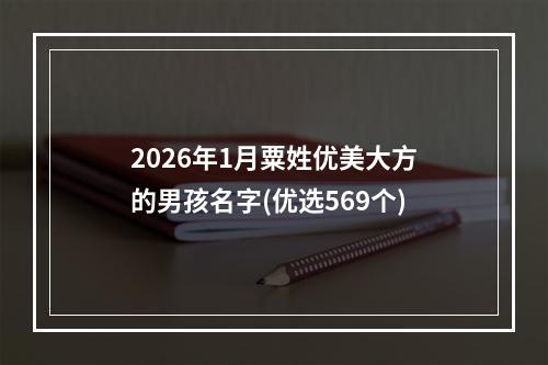 2026年1月粟姓优美大方的男孩名字(优选569个)