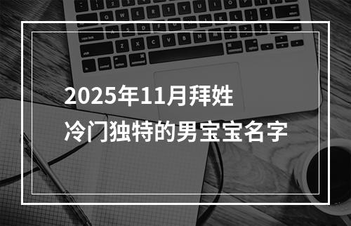 2025年11月拜姓冷门独特的男宝宝名字