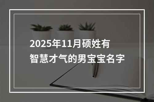 2025年11月硕姓有智慧才气的男宝宝名字