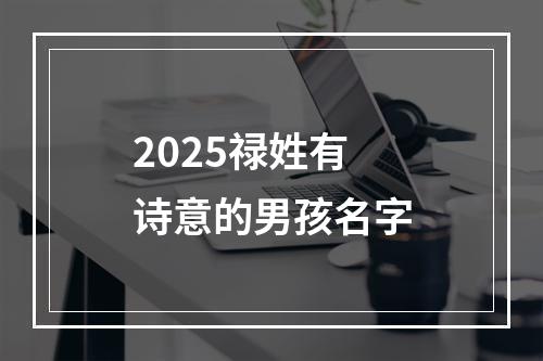 2025禄姓有诗意的男孩名字