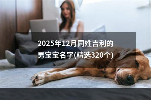 2025年12月同姓吉利的男宝宝名字(精选320个)