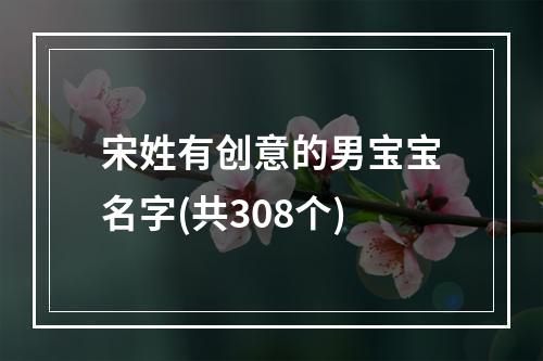 宋姓有创意的男宝宝名字(共308个)