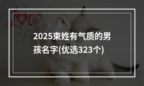 2025束姓有气质的男孩名字(优选323个)
