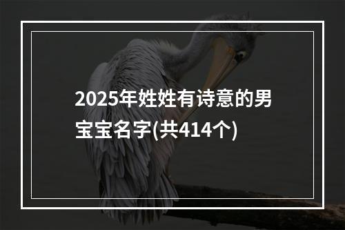 2025年姓姓有诗意的男宝宝名字(共414个)