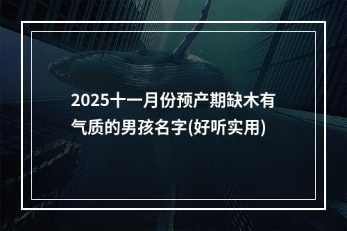 2025十一月份预产期缺木有气质的男孩名字(好听实用)