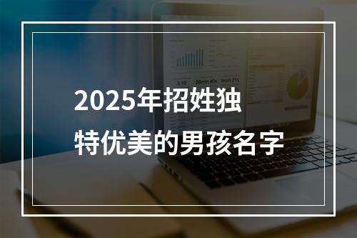 2025年招姓独特优美的男孩名字