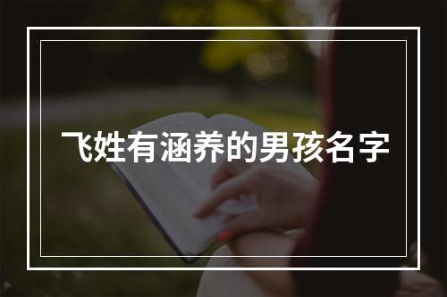 飞姓有涵养的男孩名字
