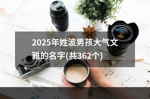 2025年姓波男孩大气文雅的名字(共362个)
