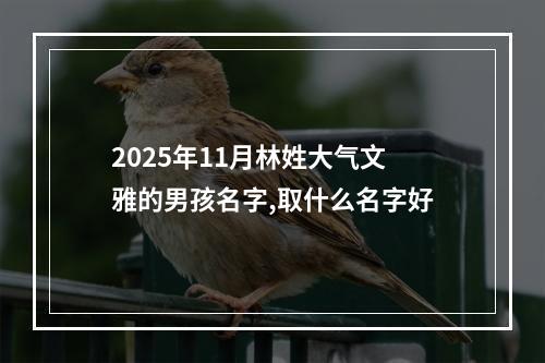 2025年11月林姓大气文雅的男孩名字,取什么名字好
