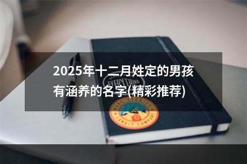 2025年十二月姓定的男孩有涵养的名字(精彩推荐)