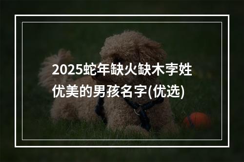 2025蛇年缺火缺木孛姓优美的男孩名字(优选)
