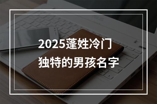 2025蓬姓冷门独特的男孩名字