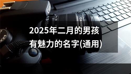 2025年二月的男孩有魅力的名字(通用)