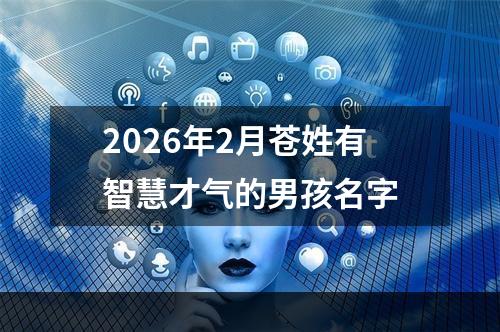 2026年2月苍姓有智慧才气的男孩名字
