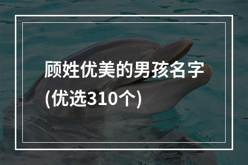 顾姓优美的男孩名字(优选310个)