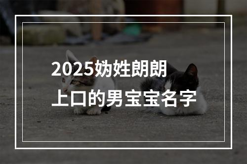 2025妫姓朗朗上口的男宝宝名字